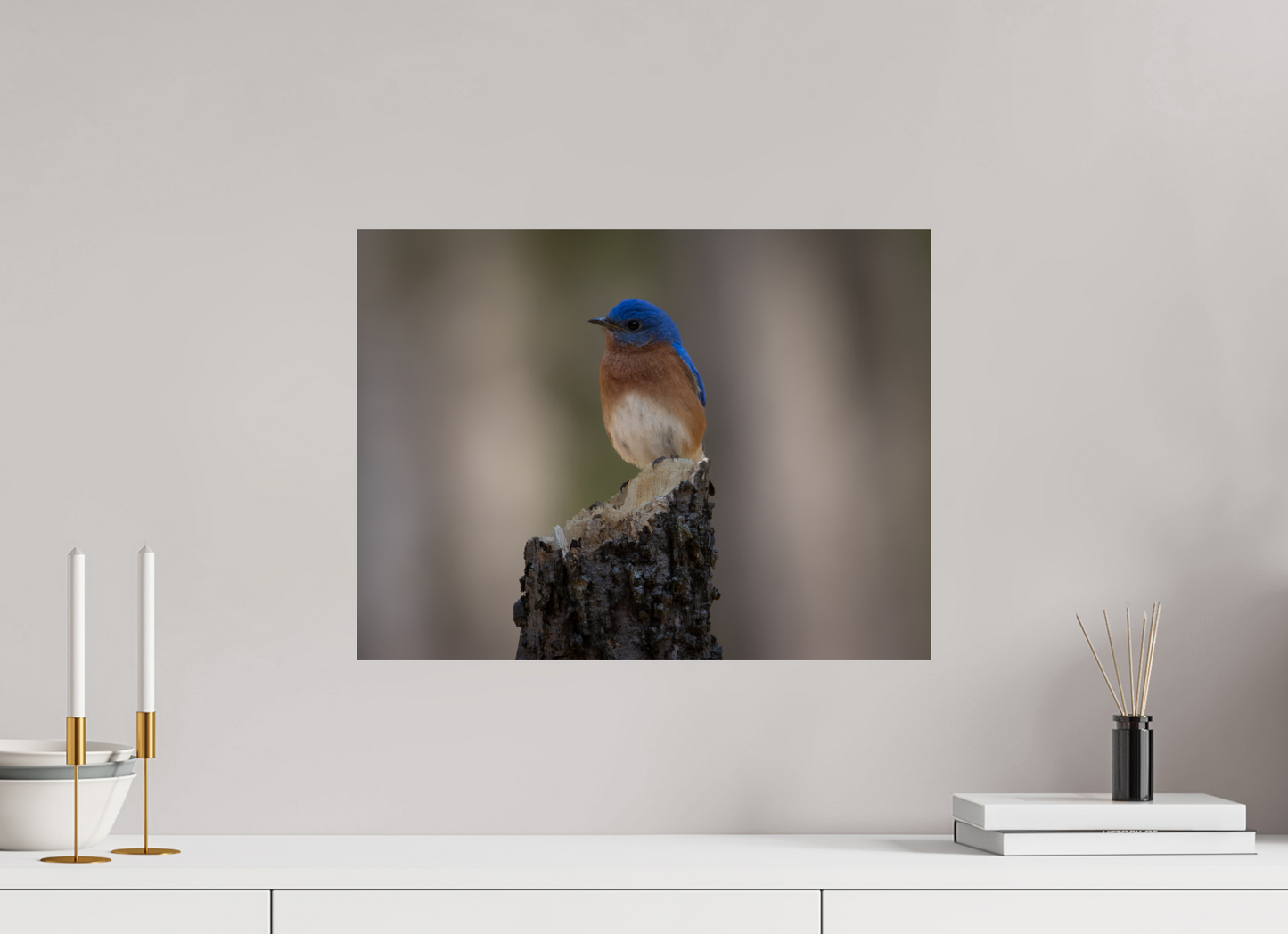 Bluebird on the Broken Tree