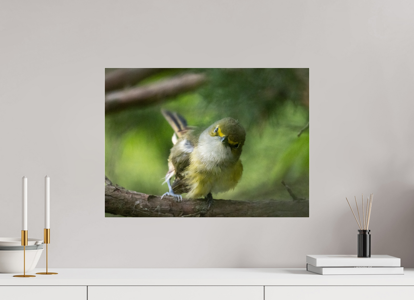 White-eyed Vireo