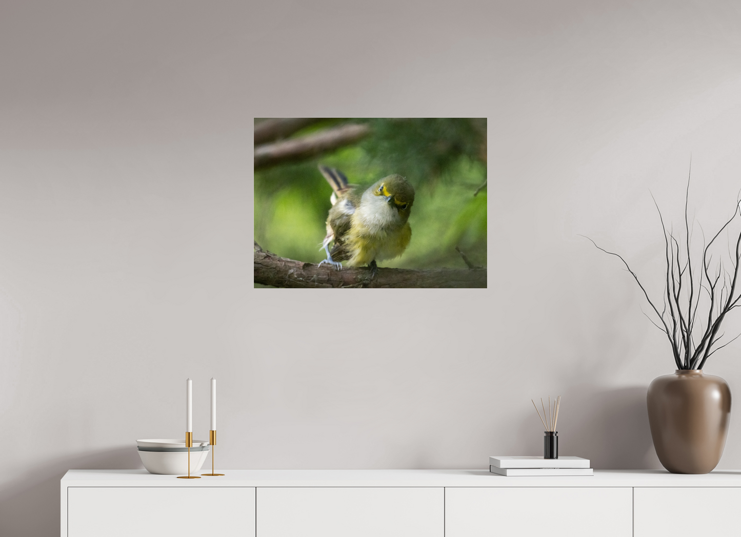 White-eyed Vireo