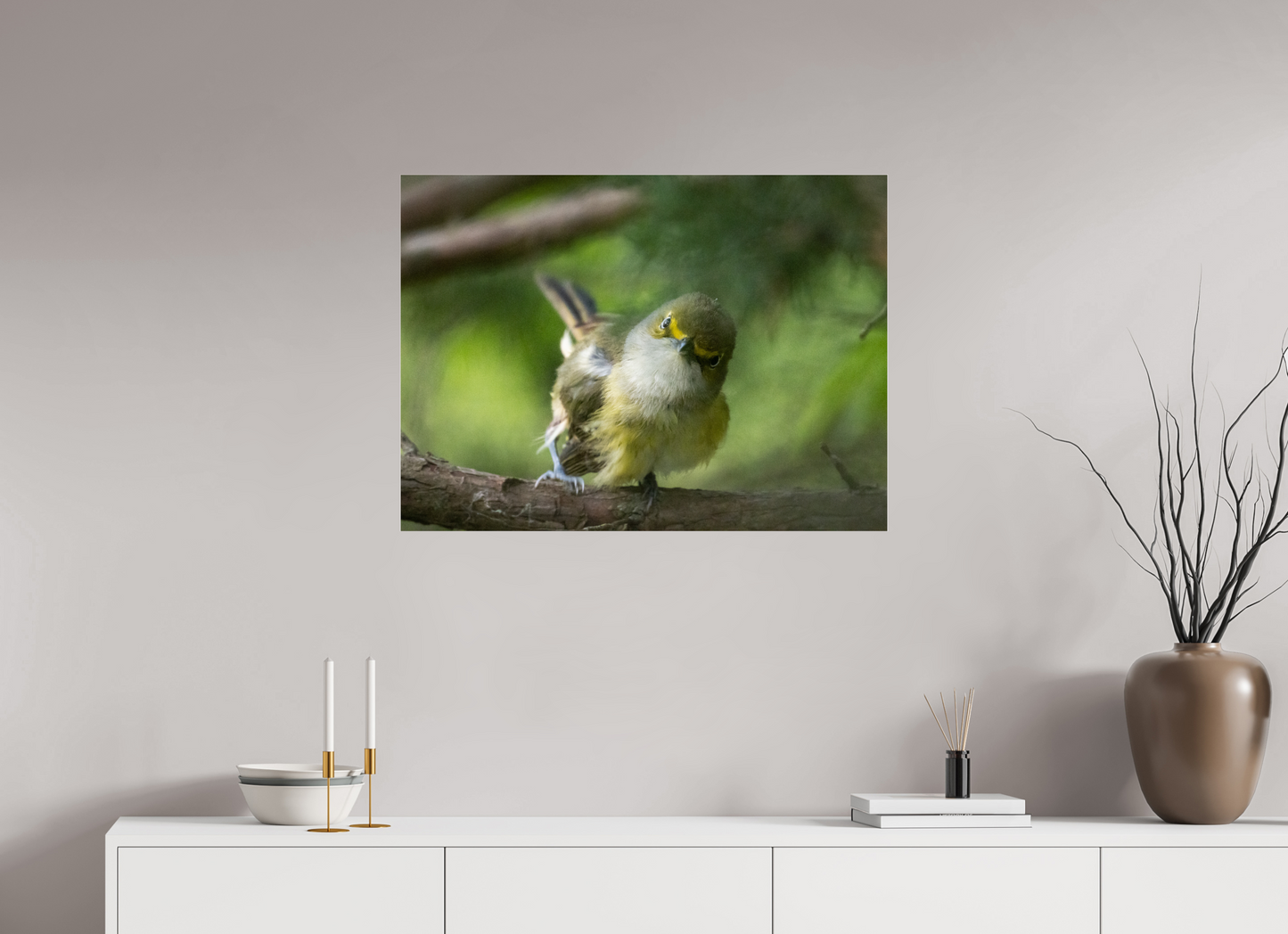 White-eyed Vireo