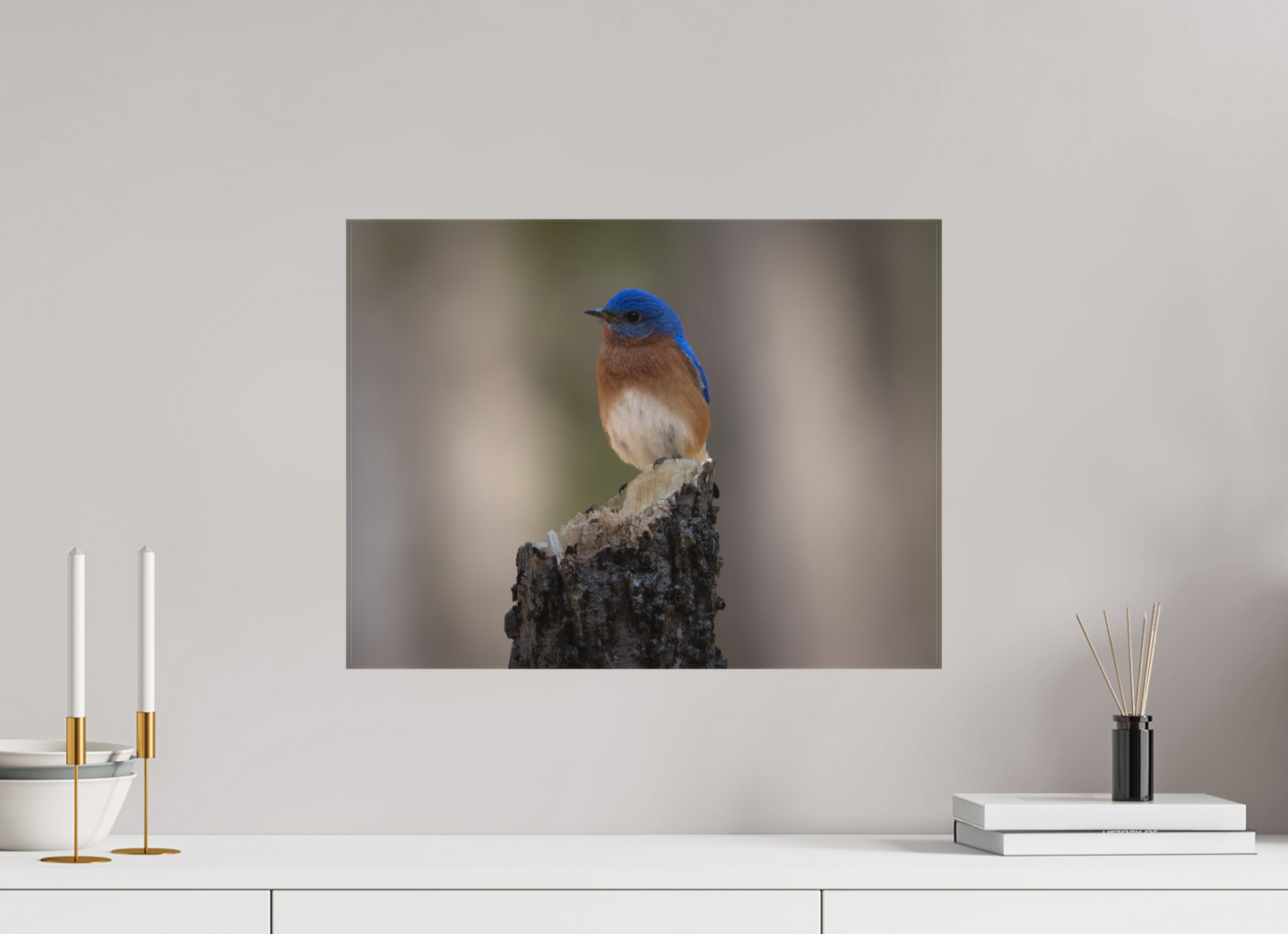 Bluebird on the Broken Tree