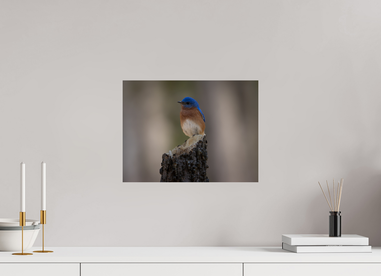 Bluebird on the Broken Tree