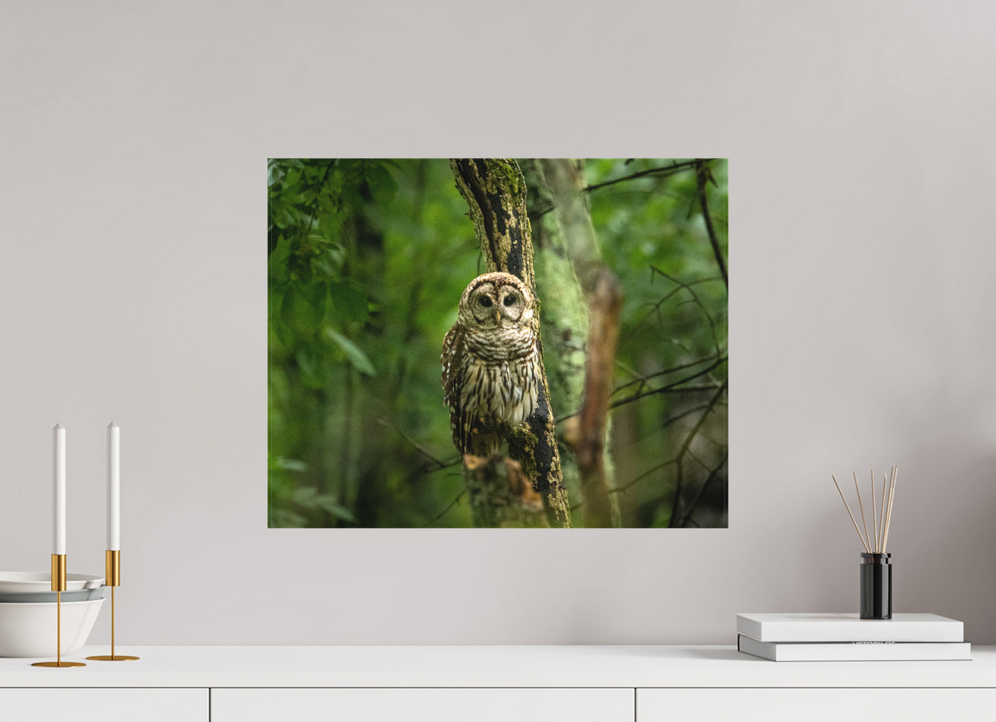 Guardian of the Forest