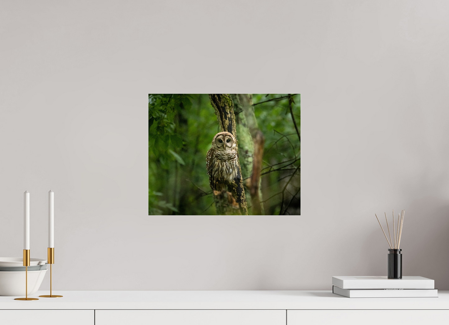 Guardian of the Forest