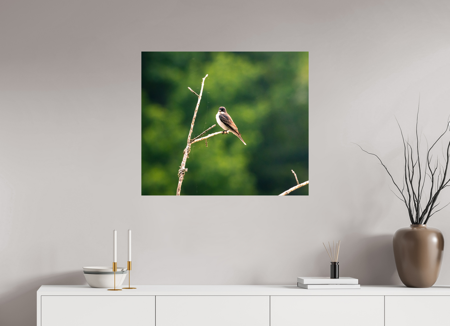 Kingbird in the Morning Light