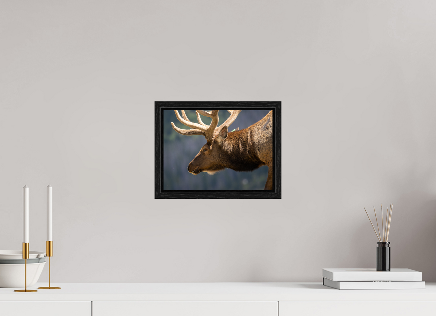 Male Elk on the Tundra