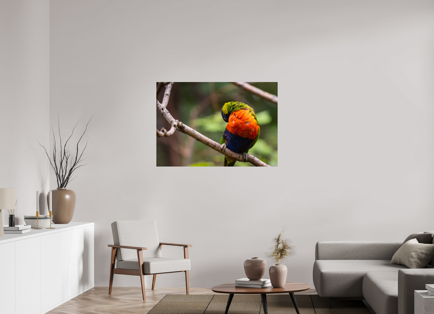 Sleeping Lorikeet