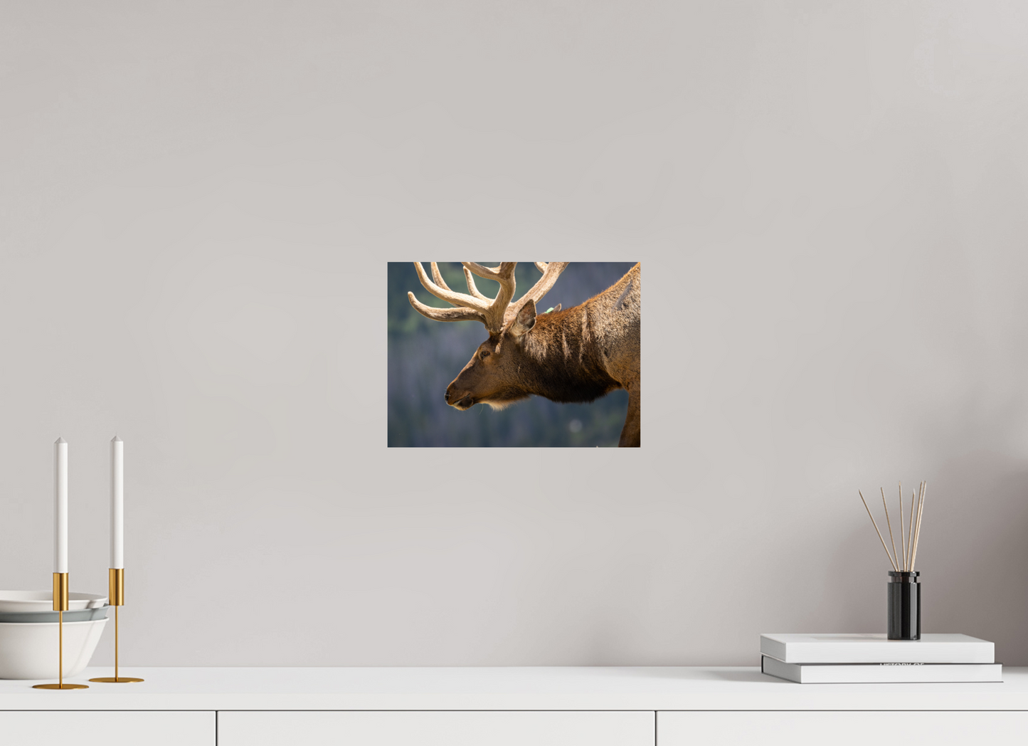 Male Elk on the Tundra