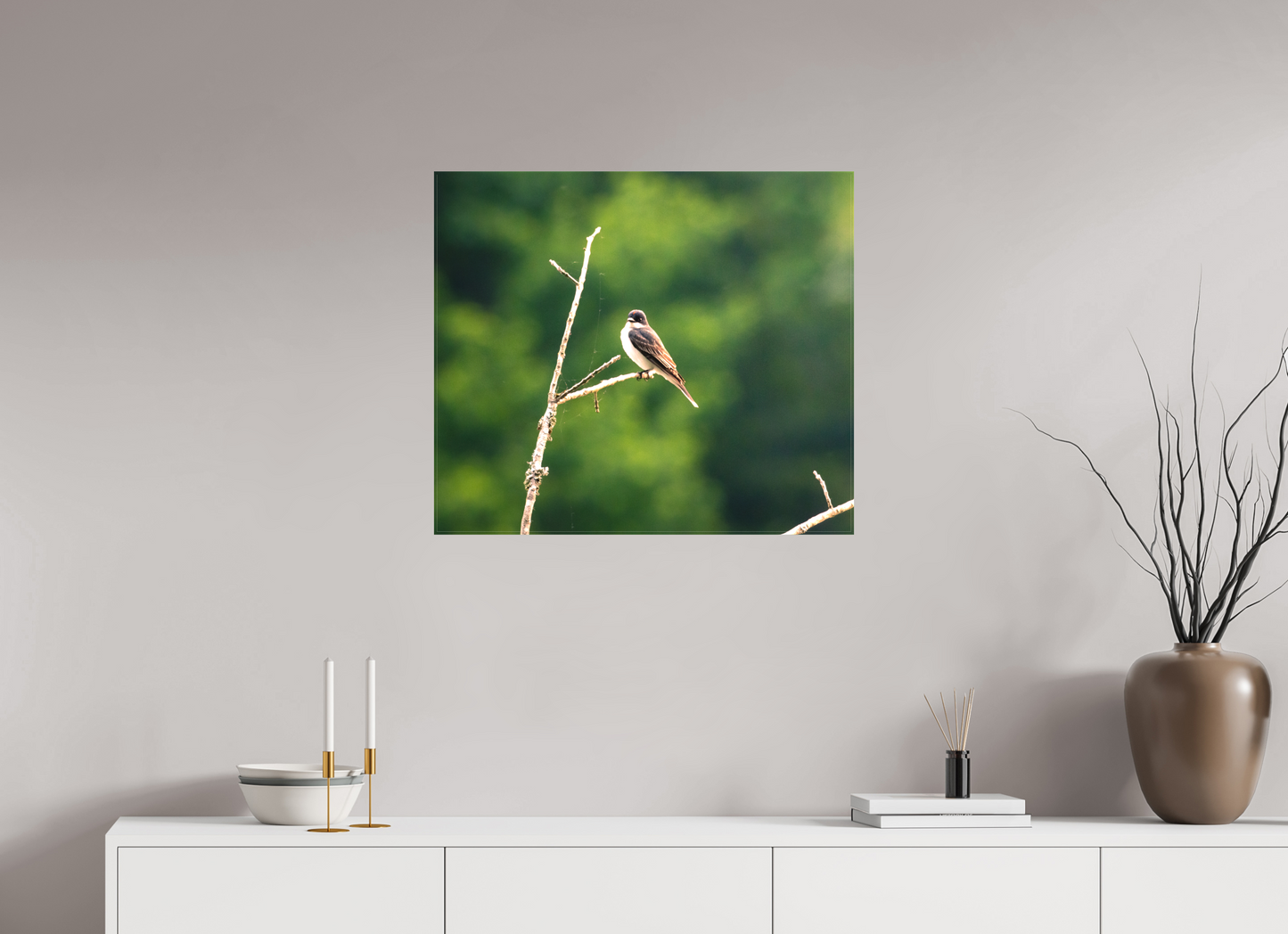 Kingbird in the Morning Light