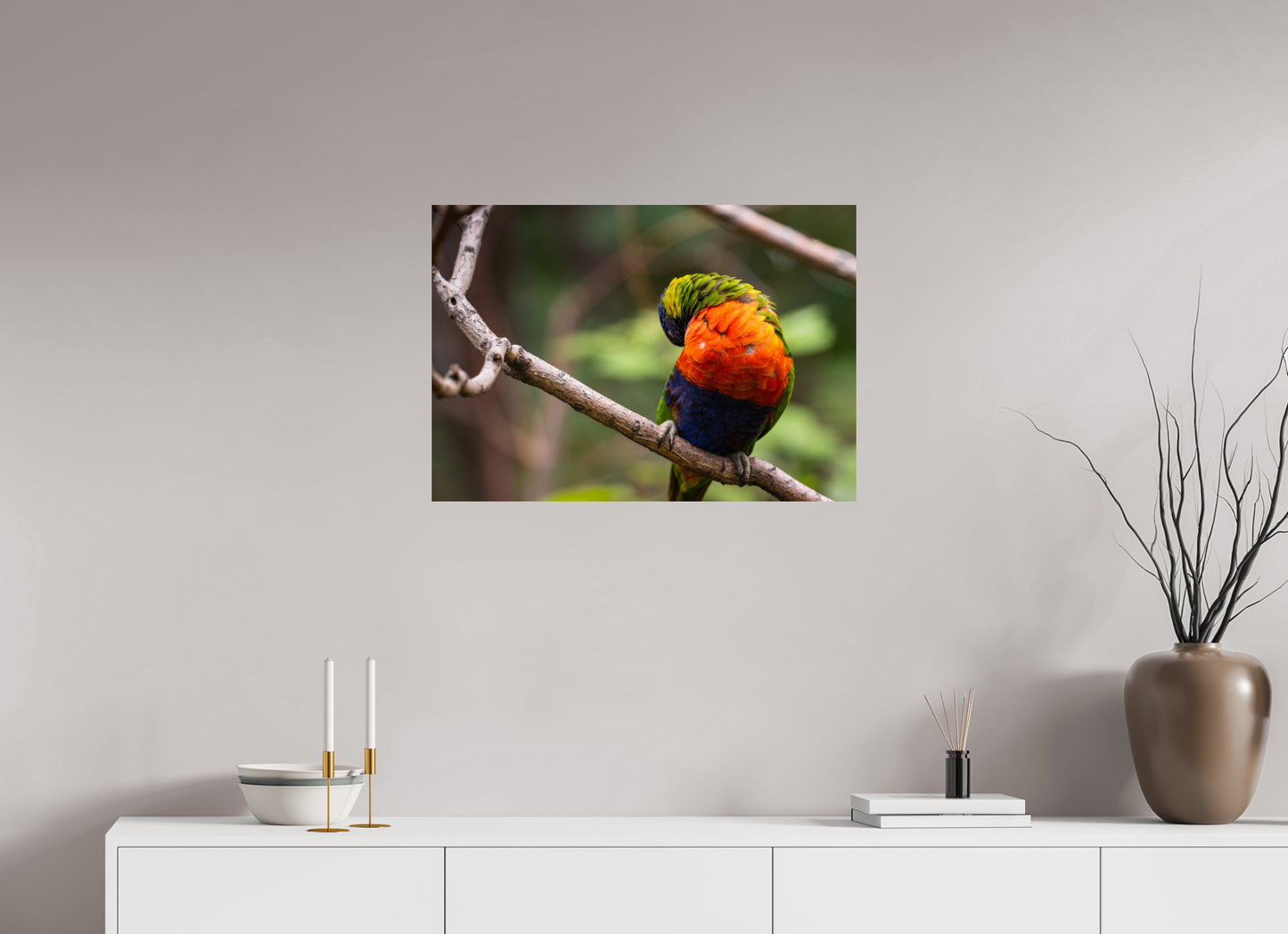 Sleeping Lorikeet