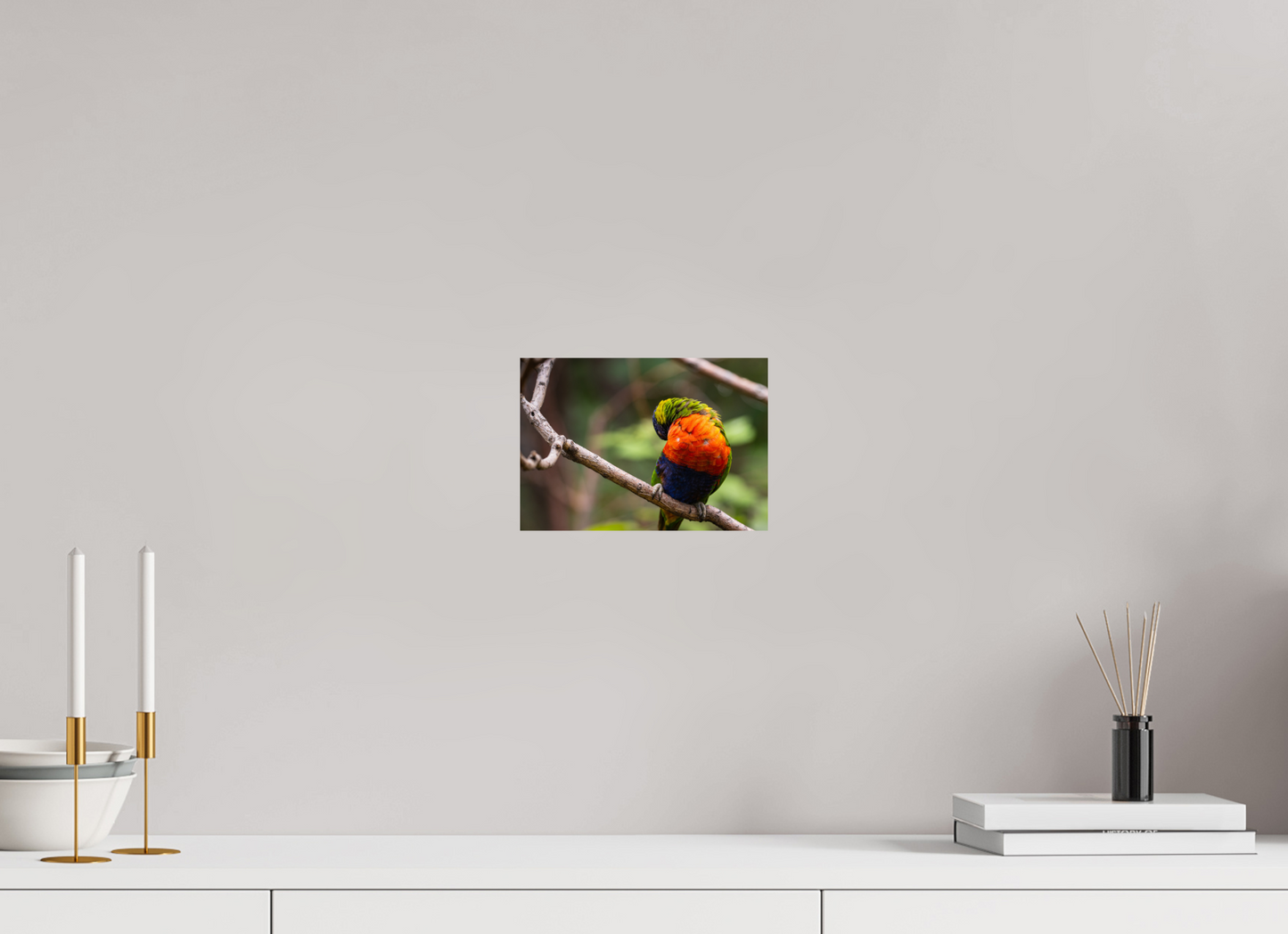 Sleeping Lorikeet