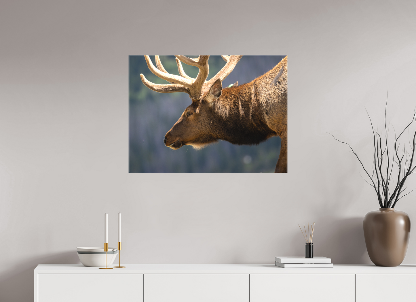 Male Elk on the Tundra