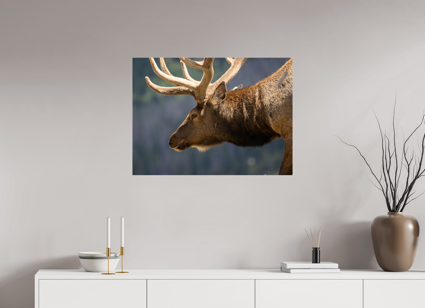 Male Elk on the Tundra