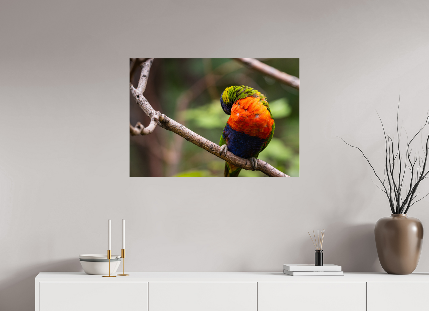 Sleeping Lorikeet