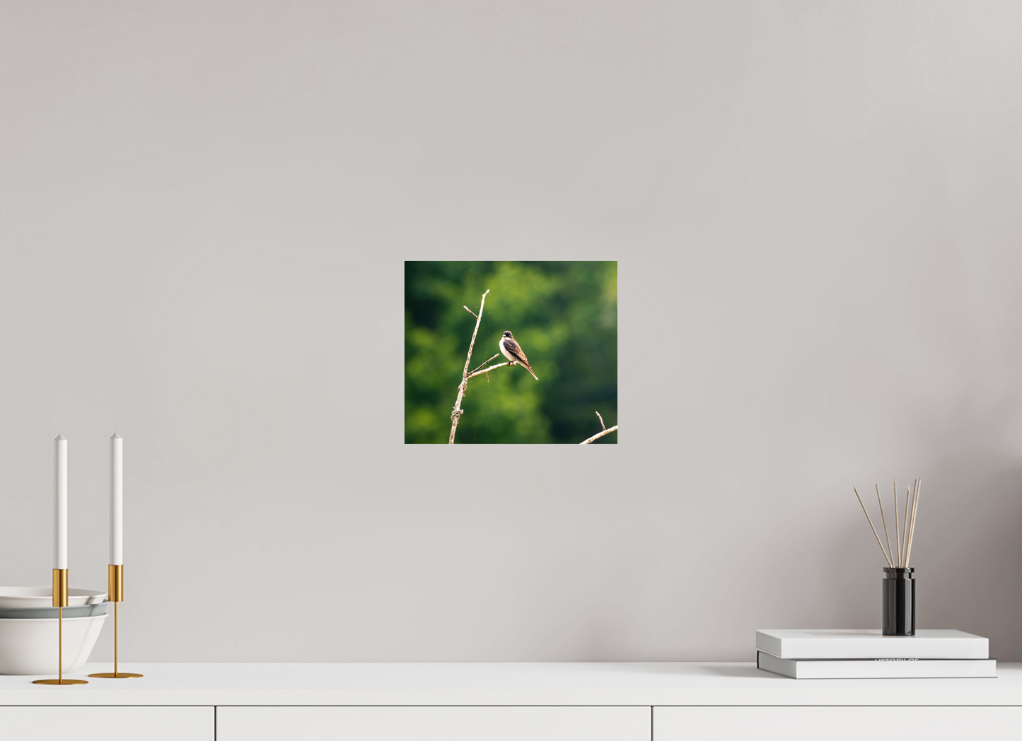 Kingbird in the Morning Light