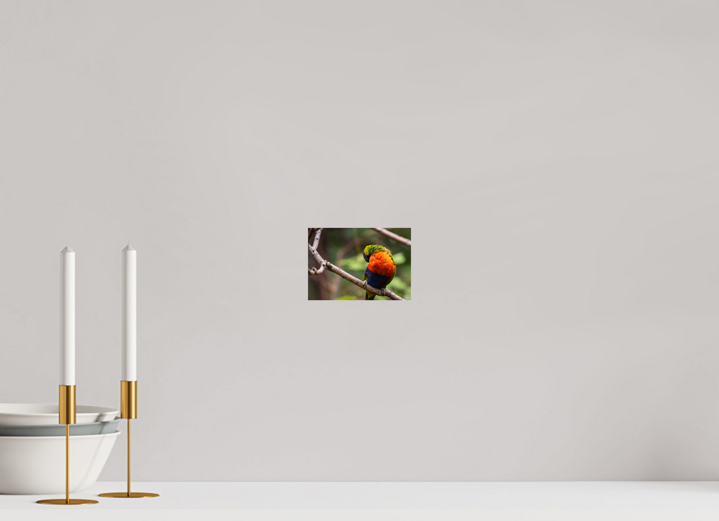 Sleeping Lorikeet