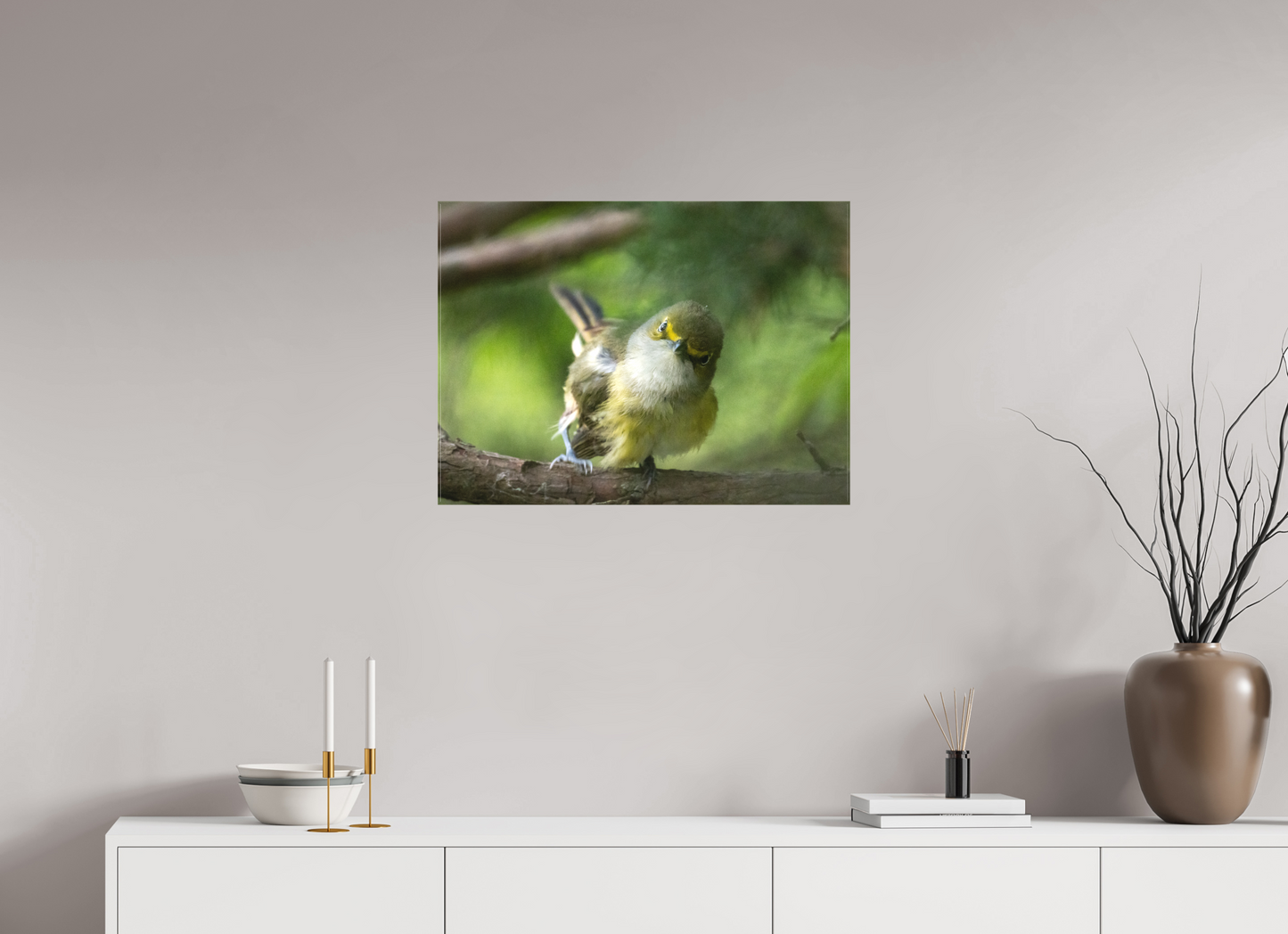 White-eyed Vireo