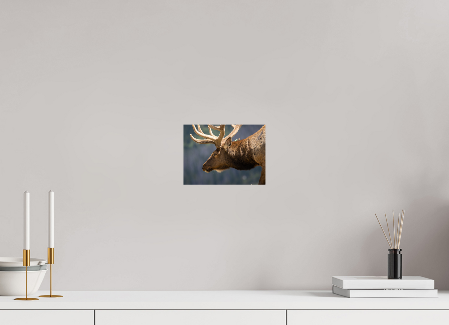 Male Elk on the Tundra
