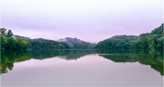 Radnor Lake