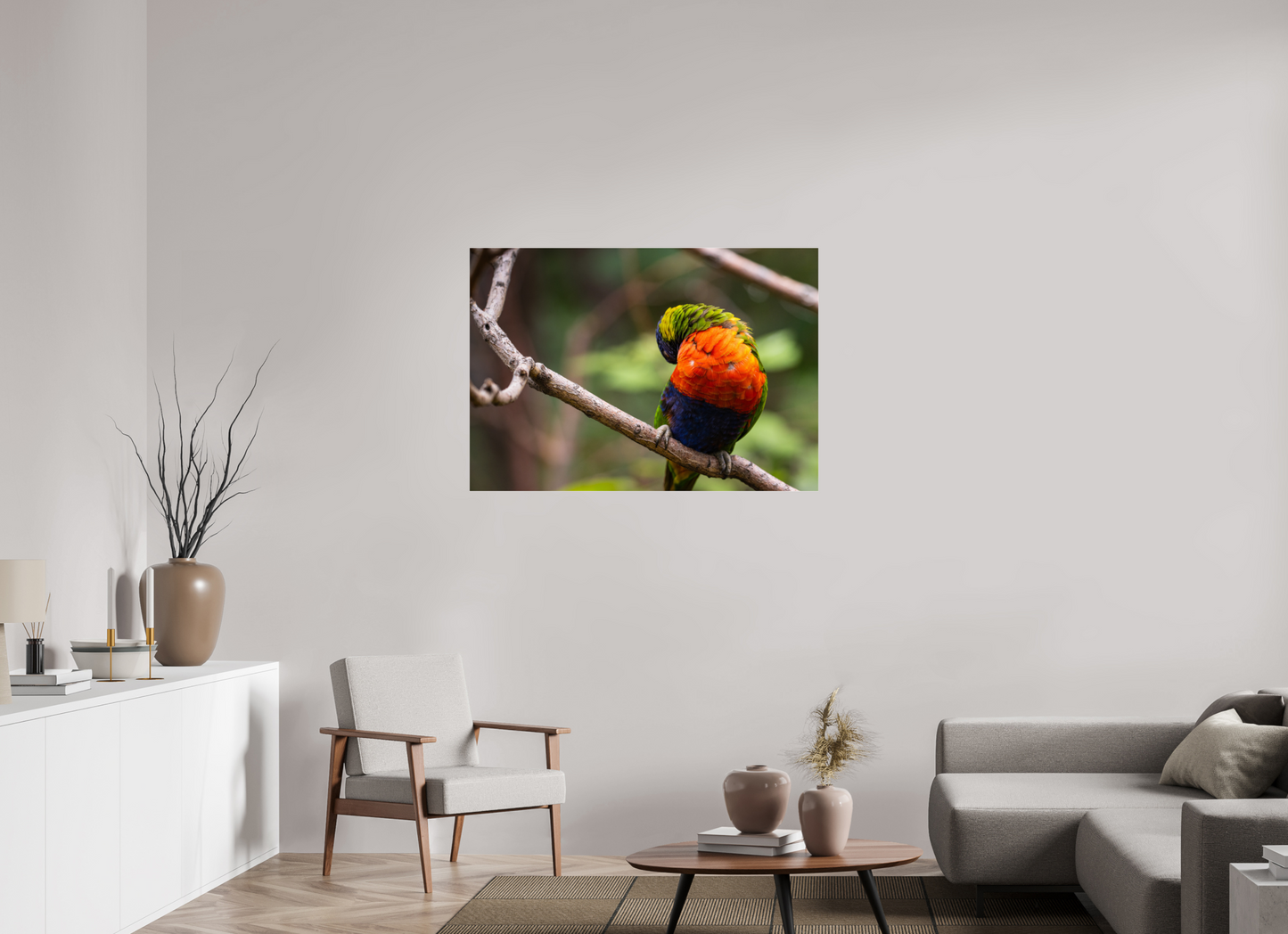 Sleeping Lorikeet