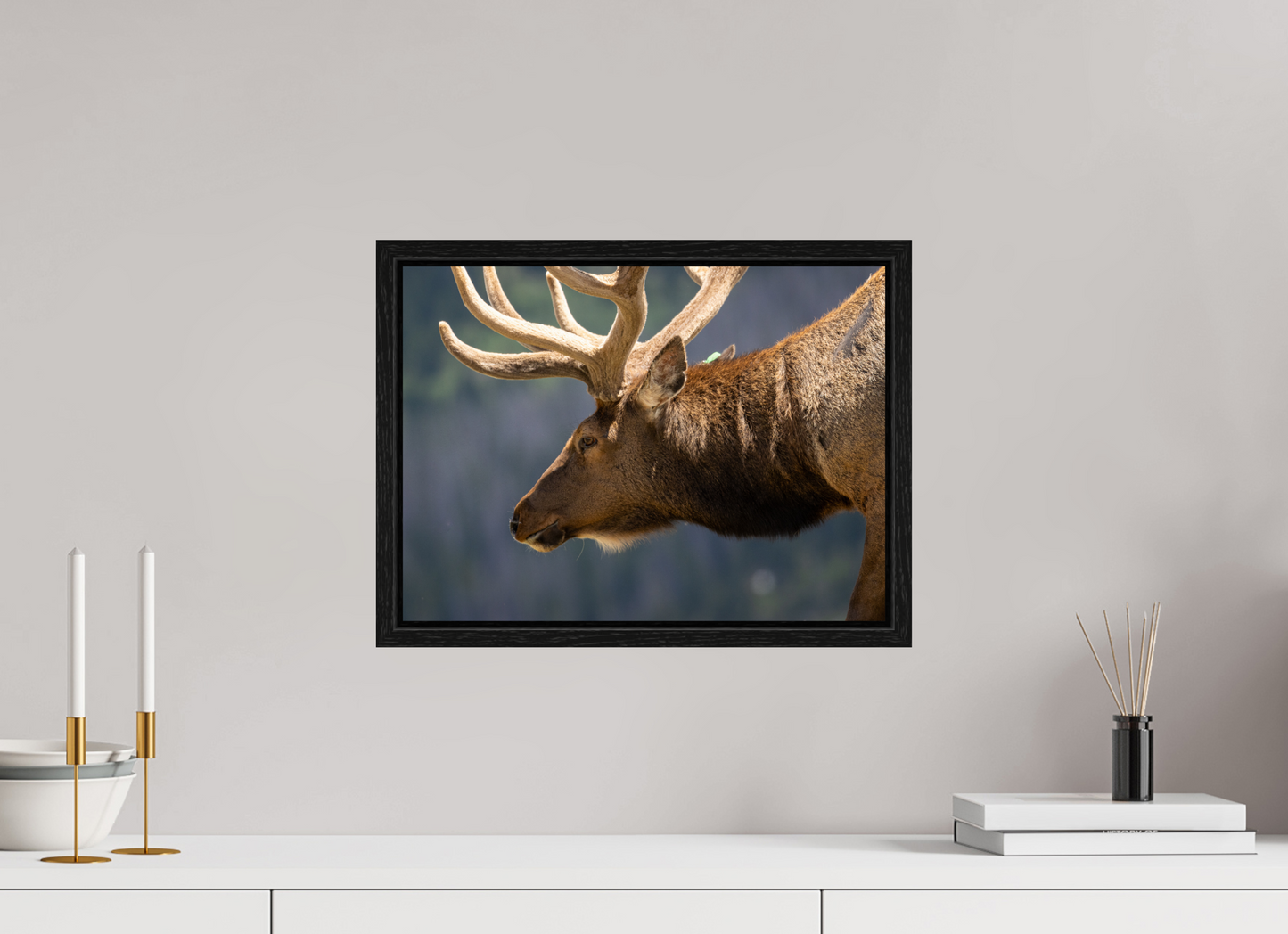 Male Elk on the Tundra