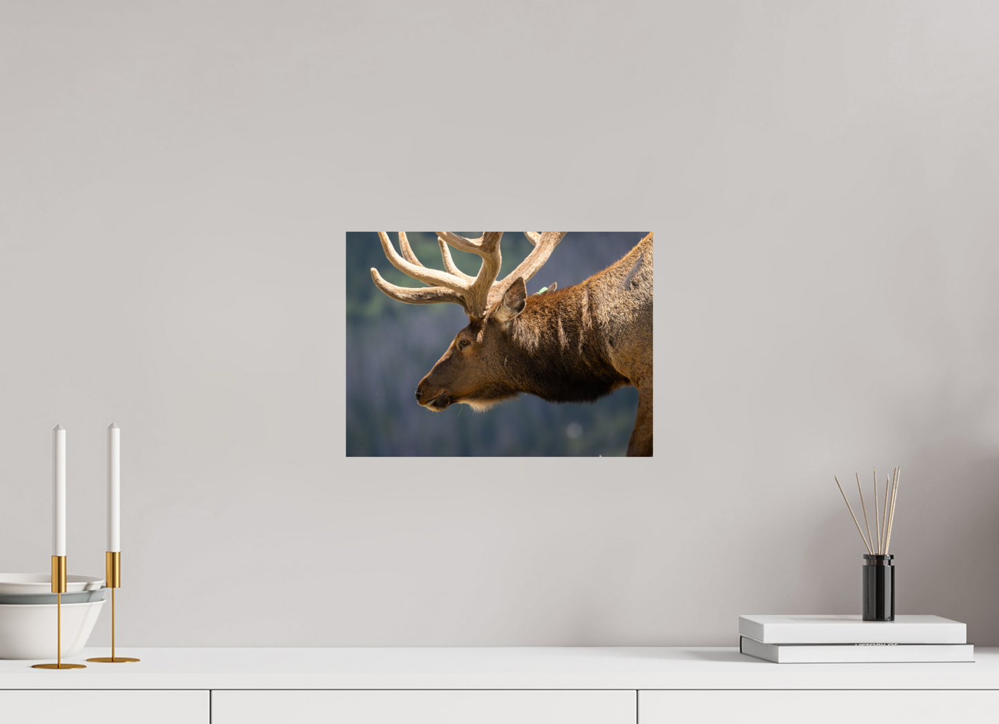 Male Elk on the Tundra
