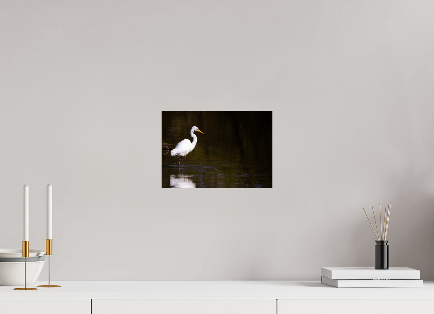 Egret fishing