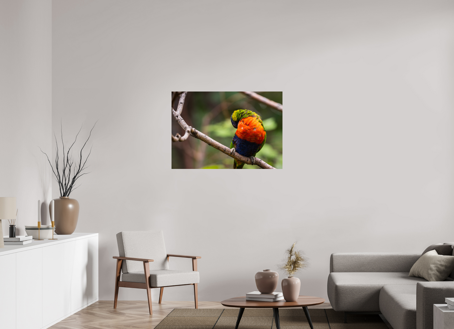 Sleeping Lorikeet