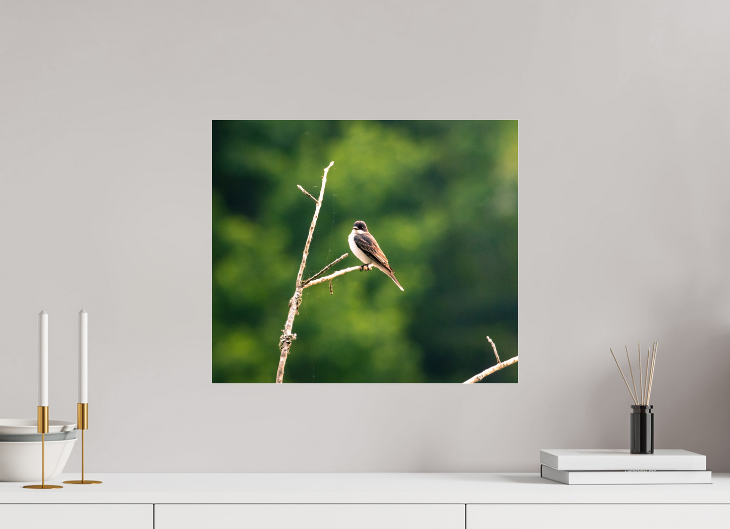 Kingbird in the Morning Light