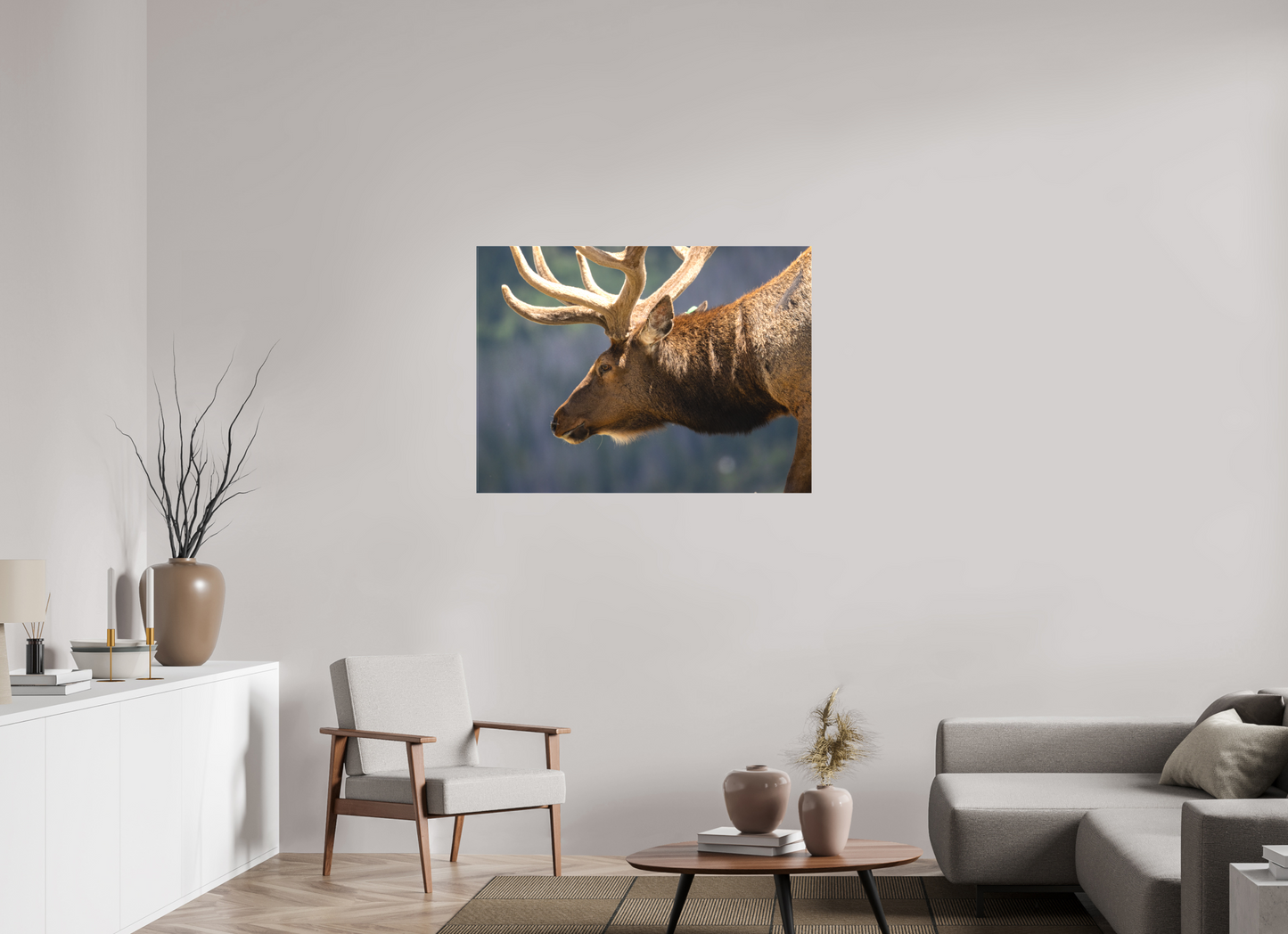 Male Elk on the Tundra