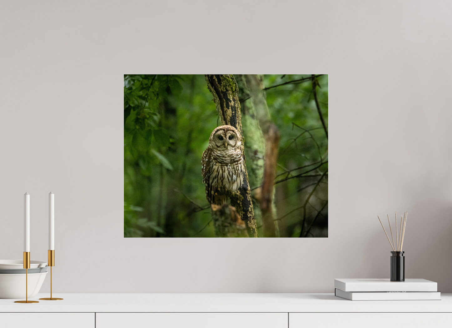 Guardian of the Forest