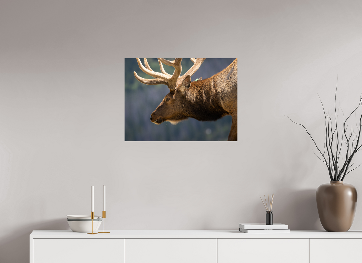 Male Elk on the Tundra