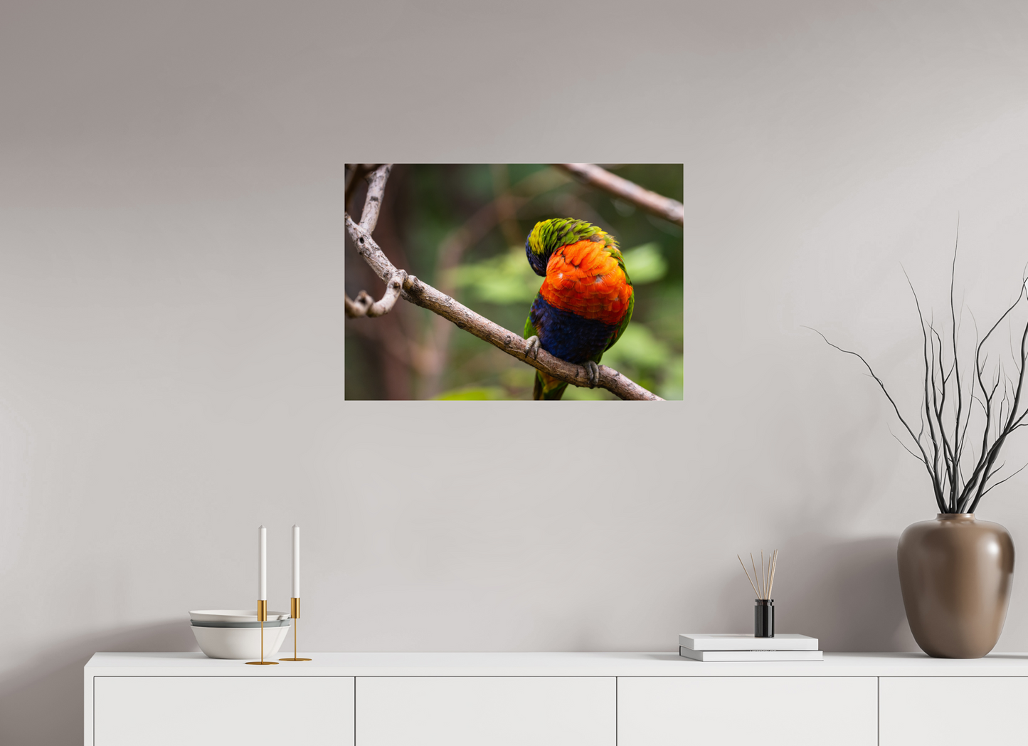 Sleeping Lorikeet