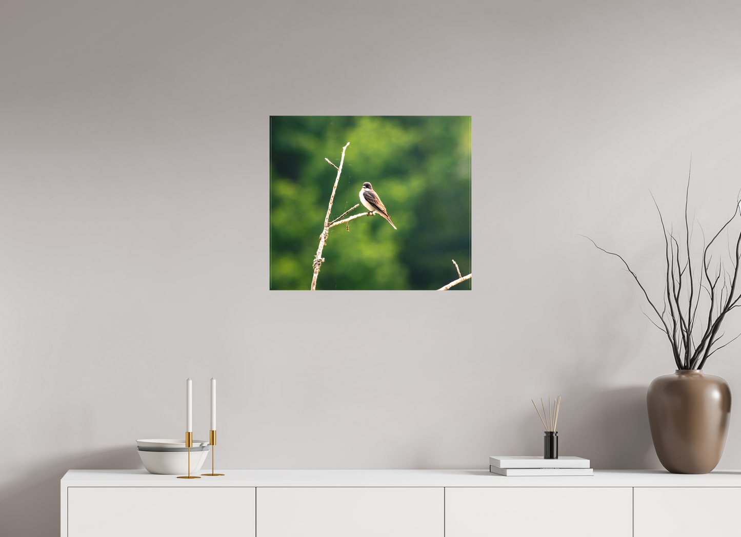 Kingbird in the Morning Light
