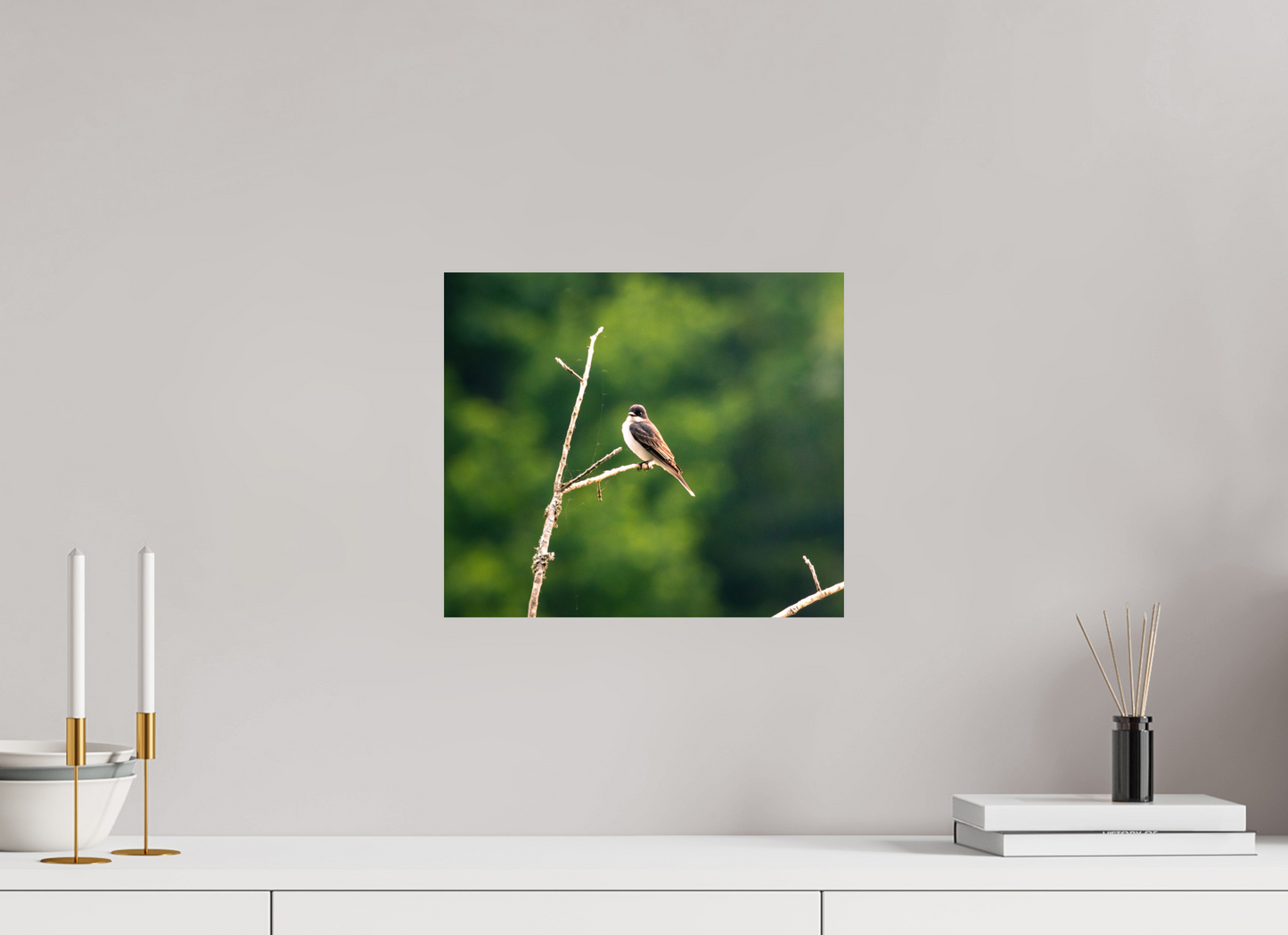 Kingbird in the Morning Light