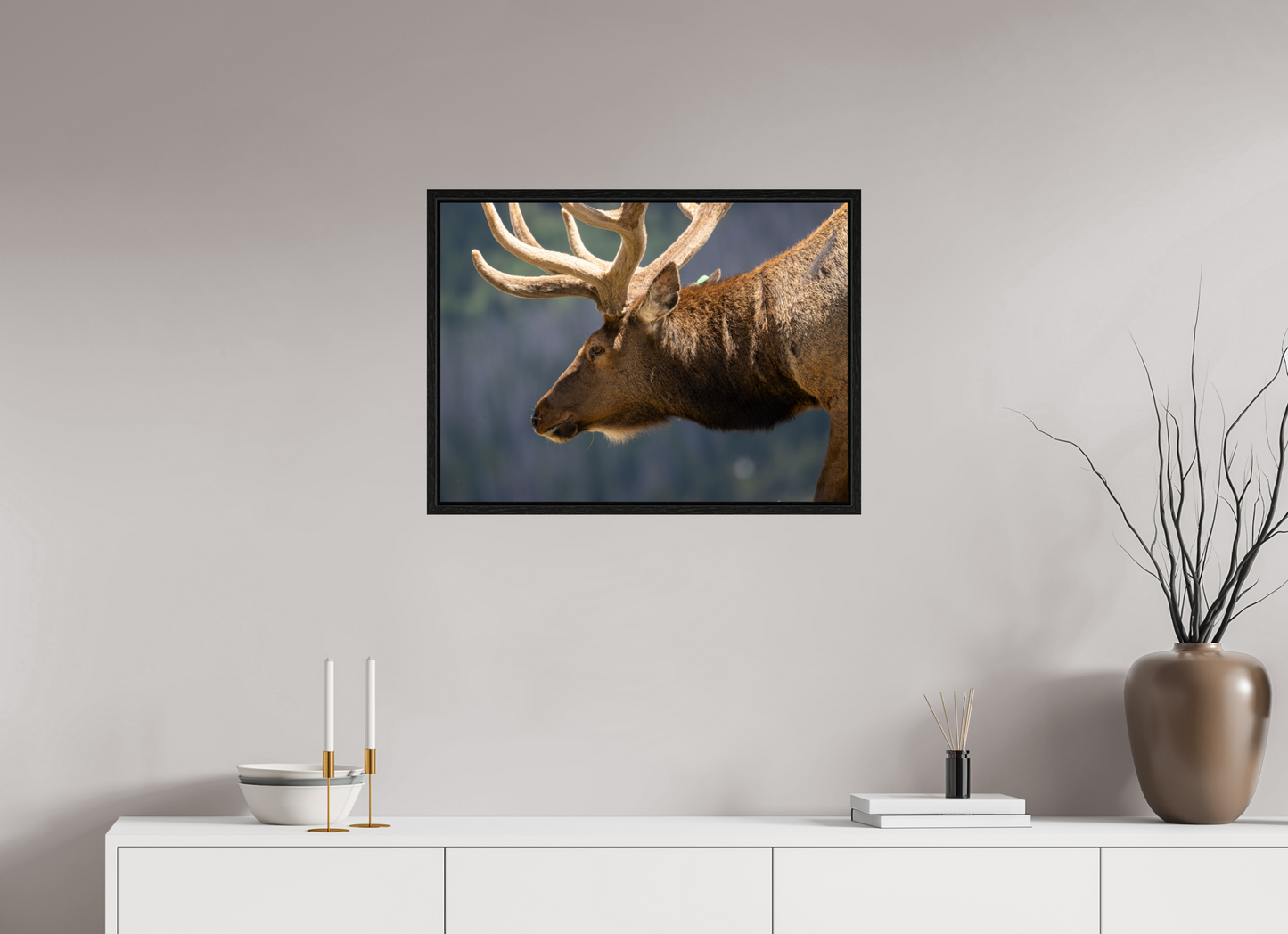 Male Elk on the Tundra