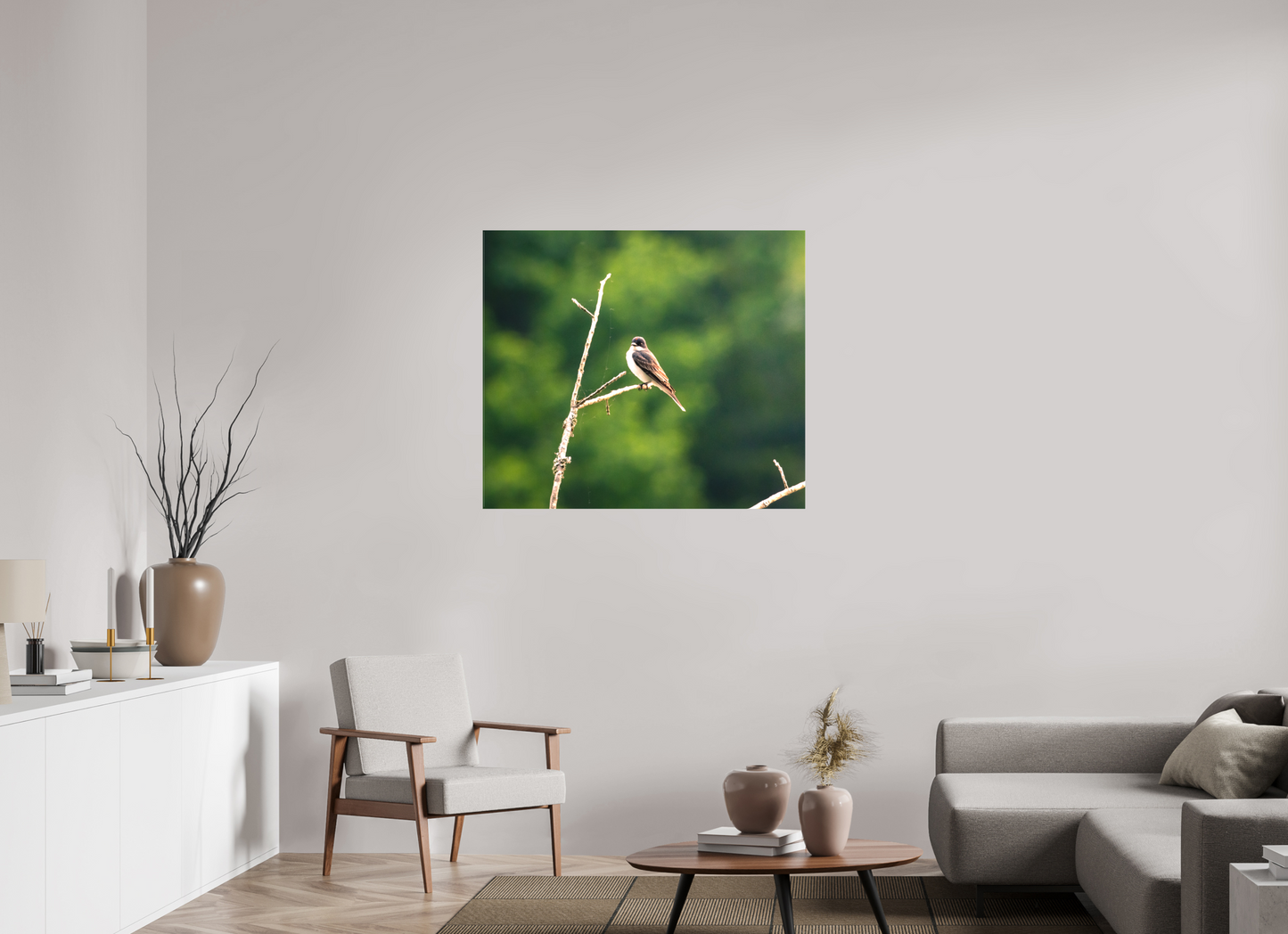 Kingbird in the Morning Light