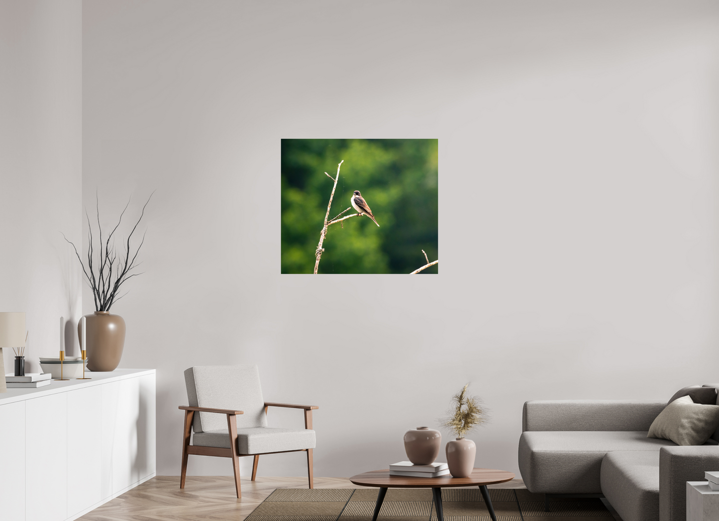 Kingbird in the Morning Light