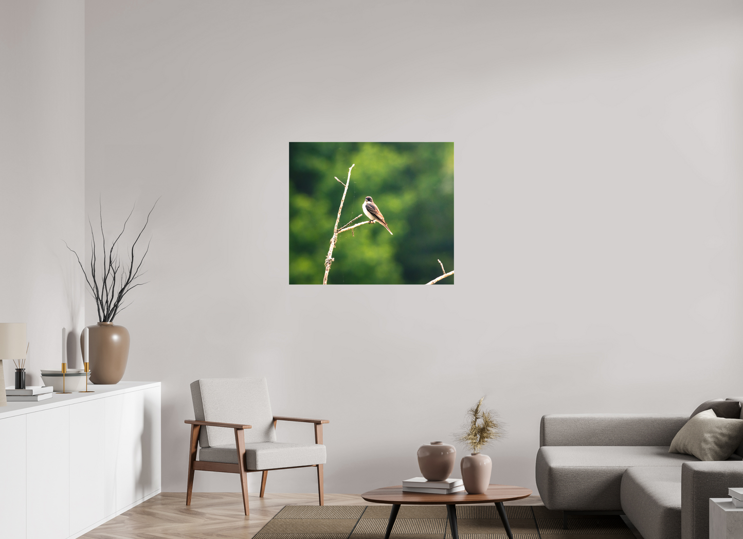Kingbird in the Morning Light