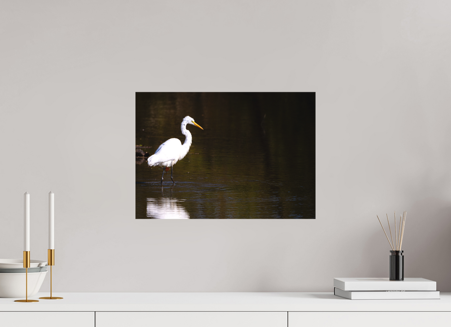 Egret fishing