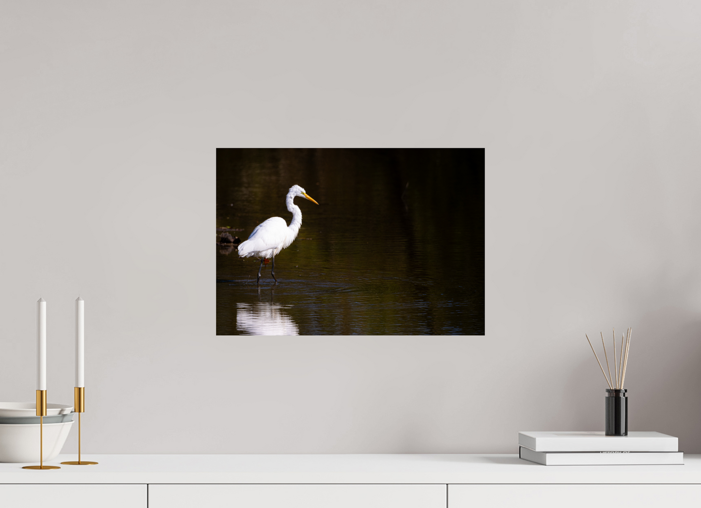 Egret fishing