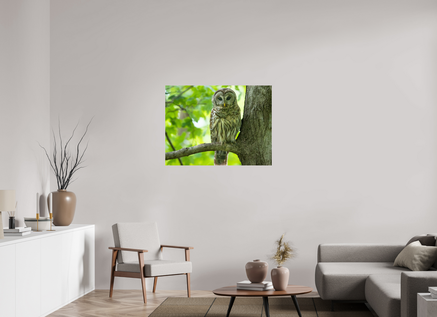 Barred Owl of Radnor Lake