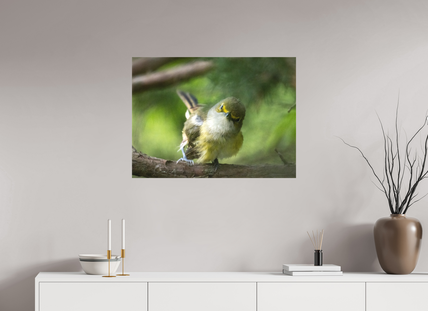 White-eyed Vireo