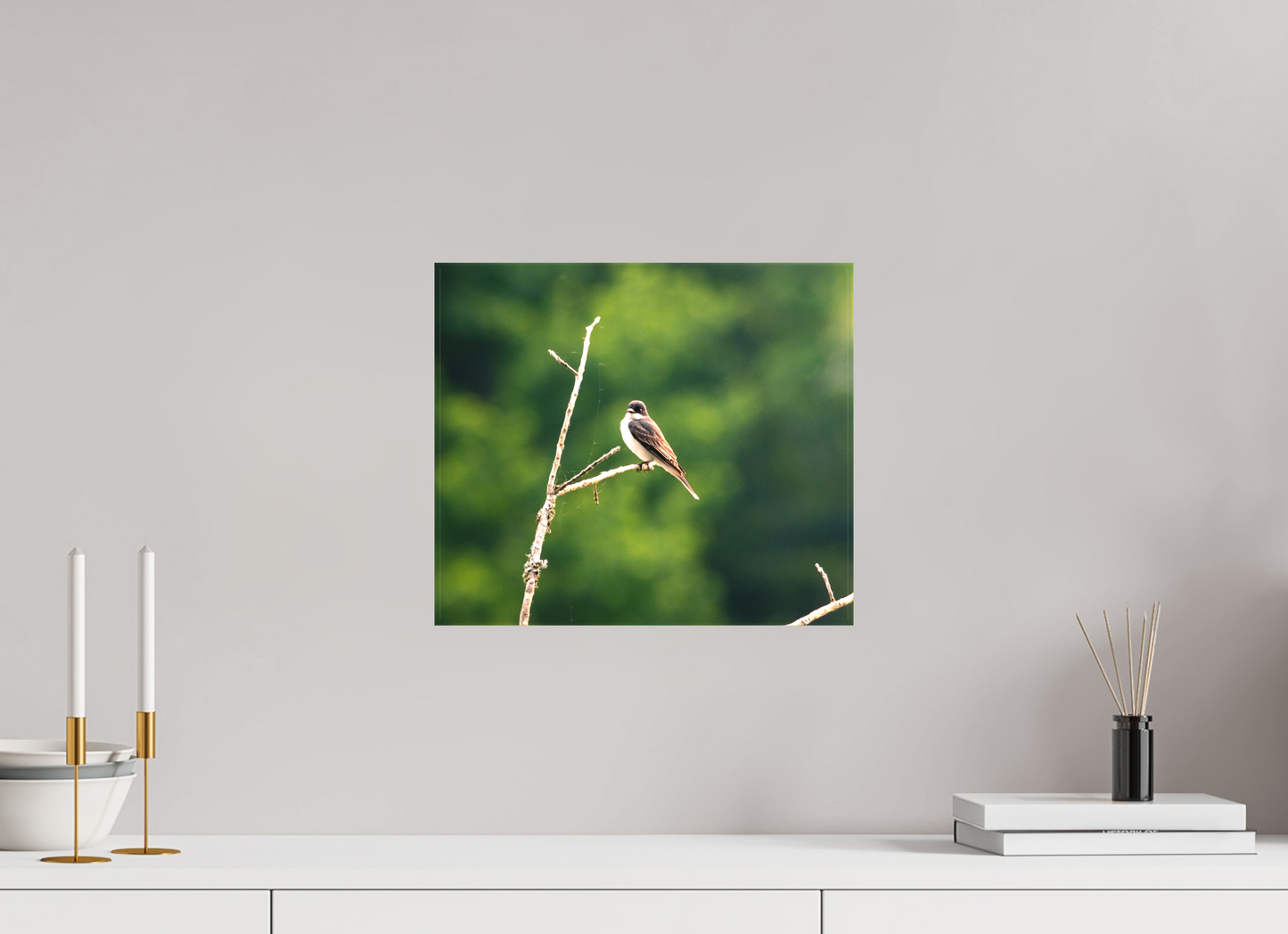 Kingbird in the Morning Light