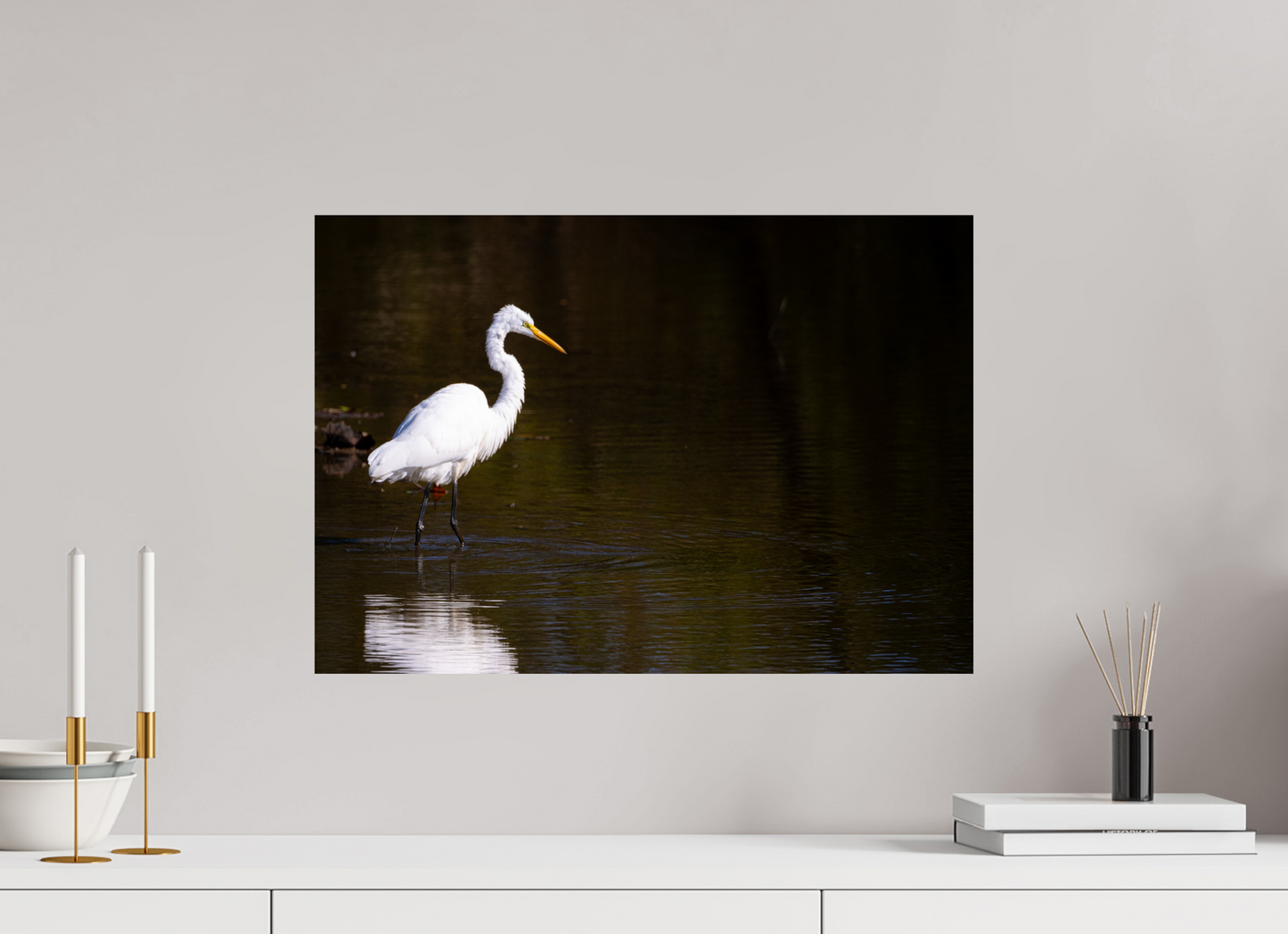 Egret fishing