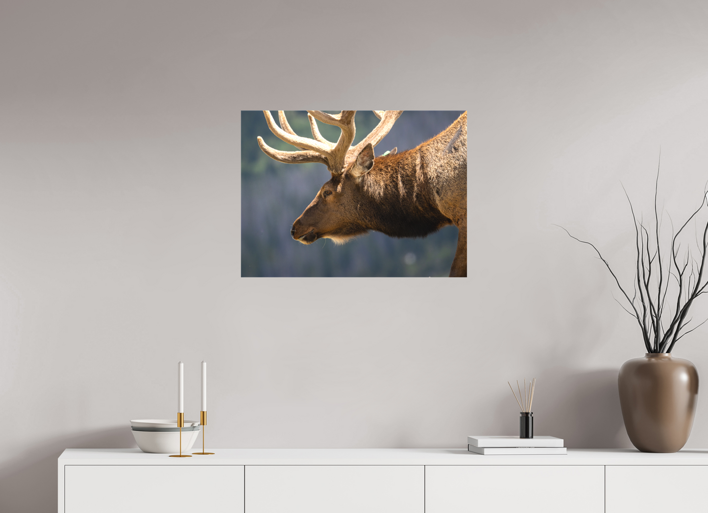Male Elk on the Tundra