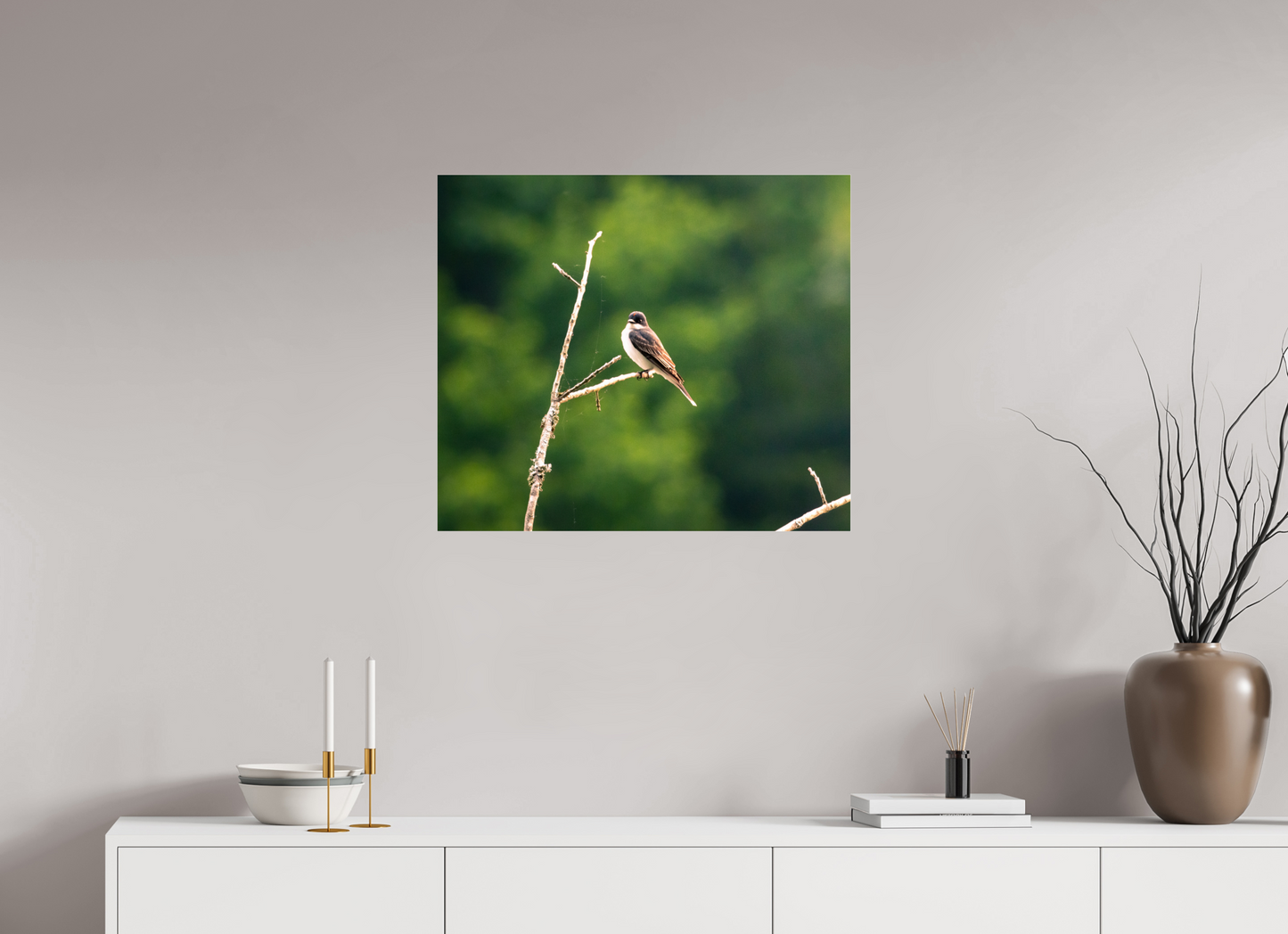 Kingbird in the Morning Light